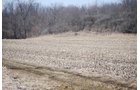 Property photo 31 - 452+/- Acres Offered in 14 Tracts - DeKalb County, Indiana and Williams County, Ohio