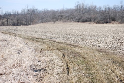 Property photo 69 - 452+/- Acres Offered in 14 Tracts - DeKalb County, Indiana and Williams County, Ohio