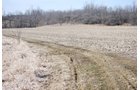 Property photo 69 - 452+/- Acres Offered in 14 Tracts - DeKalb County, Indiana and Williams County, Ohio