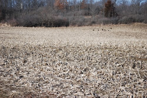 Property photo 34 - 452+/- Acres Offered in 14 Tracts - DeKalb County, Indiana and Williams County, Ohio