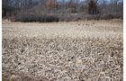 Property photo 34 - 452+/- Acres Offered in 14 Tracts - DeKalb County, Indiana and Williams County, Ohio