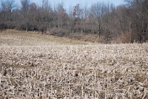 Property photo 49 - 452+/- Acres Offered in 14 Tracts - DeKalb County, Indiana and Williams County, Ohio
