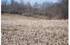 Property photo 49 - 452+/- Acres Offered in 14 Tracts - DeKalb County, Indiana and Williams County, Ohio