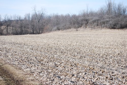 Property photo 73 - 452+/- Acres Offered in 14 Tracts - DeKalb County, Indiana and Williams County, Ohio