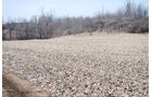 Property photo 73 - 452+/- Acres Offered in 14 Tracts - DeKalb County, Indiana and Williams County, Ohio