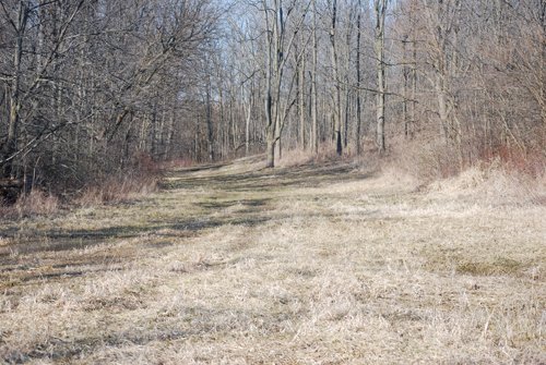 Property photo 61 - 452+/- Acres Offered in 14 Tracts - DeKalb County, Indiana and Williams County, Ohio