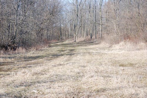 Property photo 28 - 452+/- Acres Offered in 14 Tracts - DeKalb County, Indiana and Williams County, Ohio