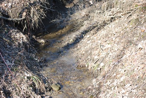 Property photo 81 - 452+/- Acres Offered in 14 Tracts - DeKalb County, Indiana and Williams County, Ohio