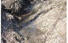Property photo 81 - 452+/- Acres Offered in 14 Tracts - DeKalb County, Indiana and Williams County, Ohio