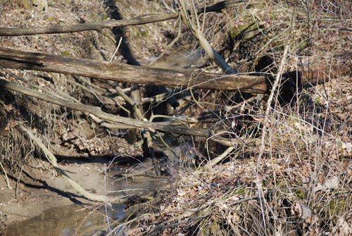 Property photo 44 - 452+/- Acres Offered in 14 Tracts - DeKalb County, Indiana and Williams County, Ohio