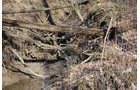 Property photo 44 - 452+/- Acres Offered in 14 Tracts - DeKalb County, Indiana and Williams County, Ohio