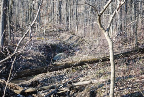 Property photo 47 - 452+/- Acres Offered in 14 Tracts - DeKalb County, Indiana and Williams County, Ohio