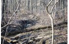 Property photo 47 - 452+/- Acres Offered in 14 Tracts - DeKalb County, Indiana and Williams County, Ohio