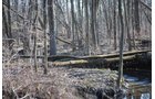 Property photo 56 - 452+/- Acres Offered in 14 Tracts - DeKalb County, Indiana and Williams County, Ohio
