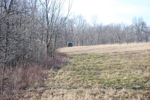 Property photo 76 - 452+/- Acres Offered in 14 Tracts - DeKalb County, Indiana and Williams County, Ohio