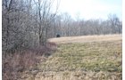 Property photo 76 - 452+/- Acres Offered in 14 Tracts - DeKalb County, Indiana and Williams County, Ohio