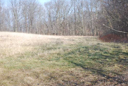 Property photo 52 - 452+/- Acres Offered in 14 Tracts - DeKalb County, Indiana and Williams County, Ohio