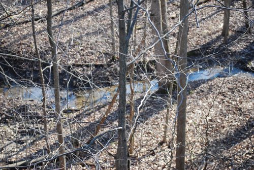Property photo 75 - 452+/- Acres Offered in 14 Tracts - DeKalb County, Indiana and Williams County, Ohio