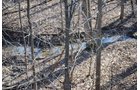 Property photo 75 - 452+/- Acres Offered in 14 Tracts - DeKalb County, Indiana and Williams County, Ohio