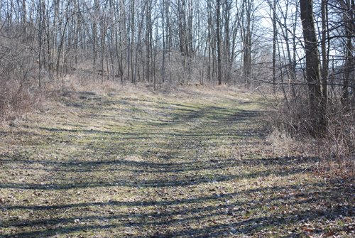 Property photo 46 - 452+/- Acres Offered in 14 Tracts - DeKalb County, Indiana and Williams County, Ohio