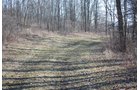 Property photo 46 - 452+/- Acres Offered in 14 Tracts - DeKalb County, Indiana and Williams County, Ohio