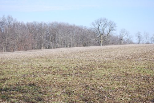 Property photo 67 - 452+/- Acres Offered in 14 Tracts - DeKalb County, Indiana and Williams County, Ohio