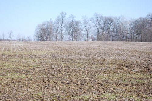 Property photo 66 - 452+/- Acres Offered in 14 Tracts - DeKalb County, Indiana and Williams County, Ohio