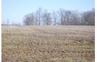 Property photo 66 - 452+/- Acres Offered in 14 Tracts - DeKalb County, Indiana and Williams County, Ohio