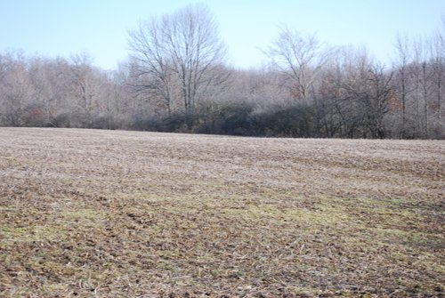 Property photo 42 - 452+/- Acres Offered in 14 Tracts - DeKalb County, Indiana and Williams County, Ohio