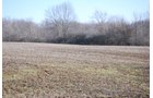 Property photo 42 - 452+/- Acres Offered in 14 Tracts - DeKalb County, Indiana and Williams County, Ohio