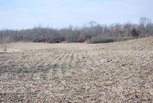 Property photo 80 - 452+/- Acres Offered in 14 Tracts - DeKalb County, Indiana and Williams County, Ohio