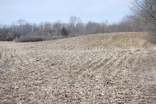 Property photo 36 - 452+/- Acres Offered in 14 Tracts - DeKalb County, Indiana and Williams County, Ohio
