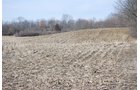 Property photo 36 - 452+/- Acres Offered in 14 Tracts - DeKalb County, Indiana and Williams County, Ohio