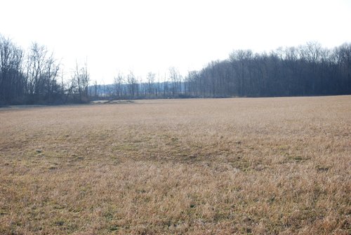 Property photo 59 - 452+/- Acres Offered in 14 Tracts - DeKalb County, Indiana and Williams County, Ohio