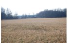 Property photo 59 - 452+/- Acres Offered in 14 Tracts - DeKalb County, Indiana and Williams County, Ohio