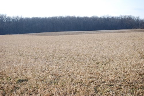 Property photo 82 - 452+/- Acres Offered in 14 Tracts - DeKalb County, Indiana and Williams County, Ohio