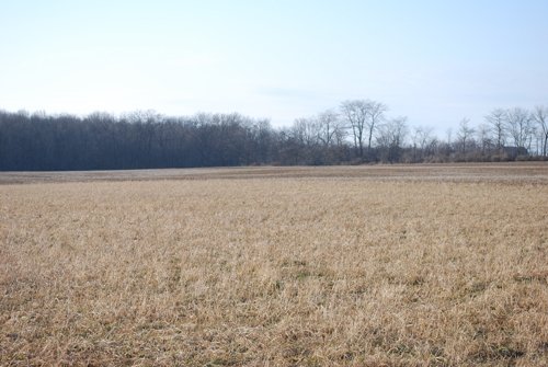 Property photo 41 - 452+/- Acres Offered in 14 Tracts - DeKalb County, Indiana and Williams County, Ohio