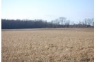 Property photo 41 - 452+/- Acres Offered in 14 Tracts - DeKalb County, Indiana and Williams County, Ohio