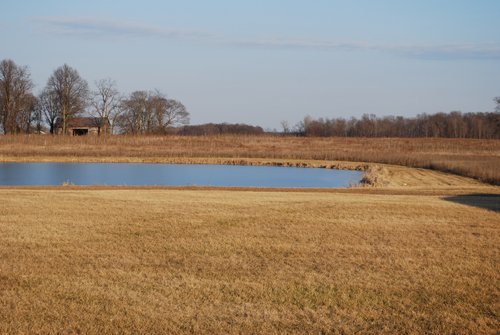 Property photo 79 - 452+/- Acres Offered in 14 Tracts - DeKalb County, Indiana and Williams County, Ohio