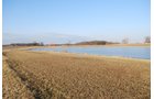 Property photo 43 - 452+/- Acres Offered in 14 Tracts - DeKalb County, Indiana and Williams County, Ohio