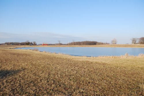 Property photo 58 - 452+/- Acres Offered in 14 Tracts - DeKalb County, Indiana and Williams County, Ohio