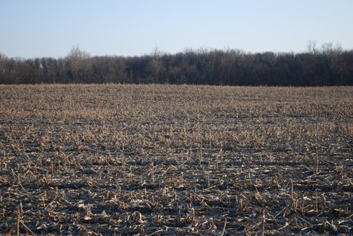 Property photo 85 - 452+/- Acres Offered in 14 Tracts - DeKalb County, Indiana and Williams County, Ohio