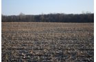 Property photo 85 - 452+/- Acres Offered in 14 Tracts - DeKalb County, Indiana and Williams County, Ohio