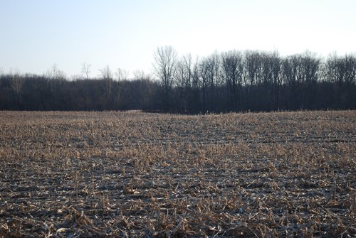 Property photo 33 - 452+/- Acres Offered in 14 Tracts - DeKalb County, Indiana and Williams County, Ohio