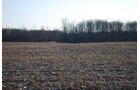 Property photo 33 - 452+/- Acres Offered in 14 Tracts - DeKalb County, Indiana and Williams County, Ohio