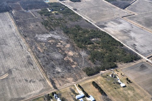 Property photo 58 - 247+/- Acres Offered in 8 Tracts
