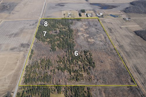 Property photo 46 - 247+/- Acres Offered in 8 Tracts