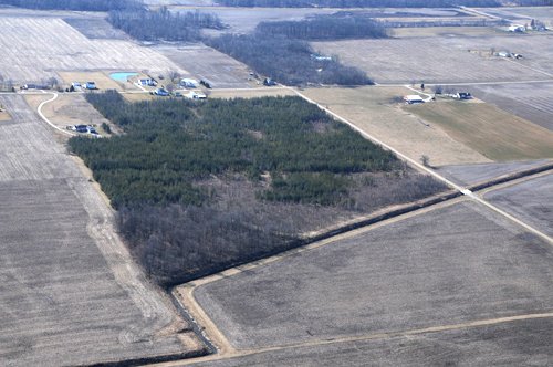 Property photo 40 - 247+/- Acres Offered in 8 Tracts
