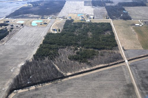 Property photo 16 - 247+/- Acres Offered in 8 Tracts