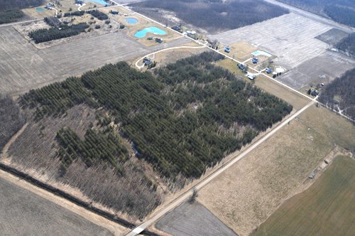 Property photo 31 - 247+/- Acres Offered in 8 Tracts